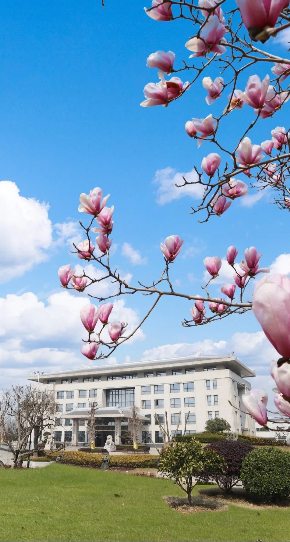 永乐高·(中国区)官方网站