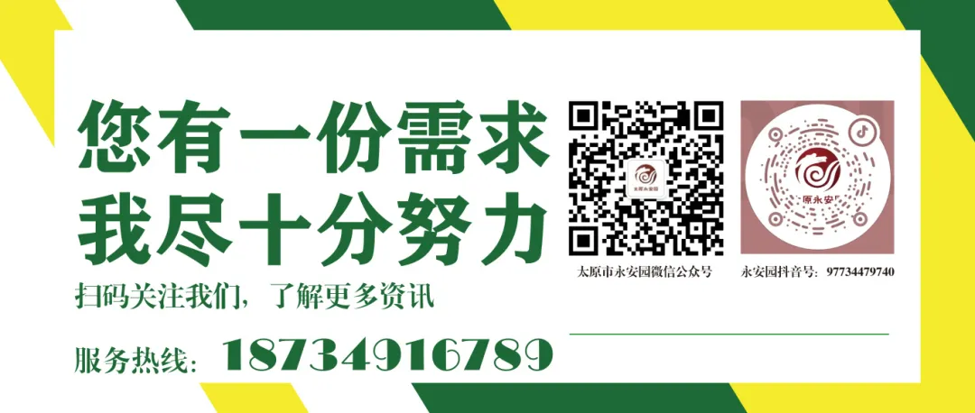 永乐高·(中国区)官方网站