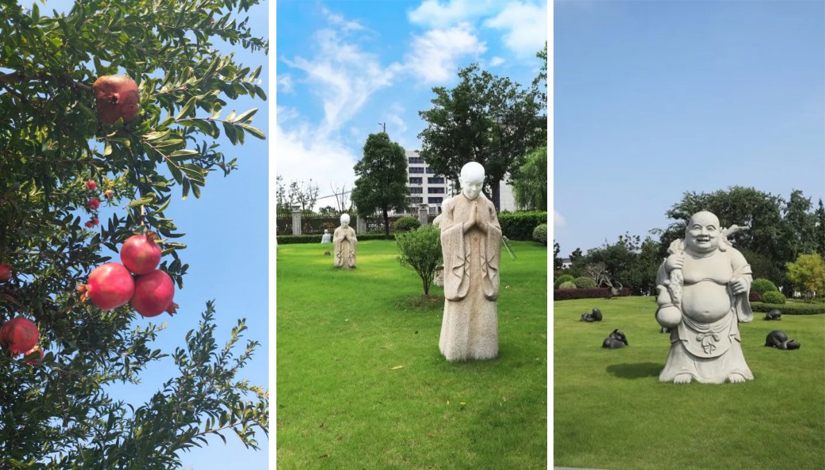 永乐高·(中国区)官方网站