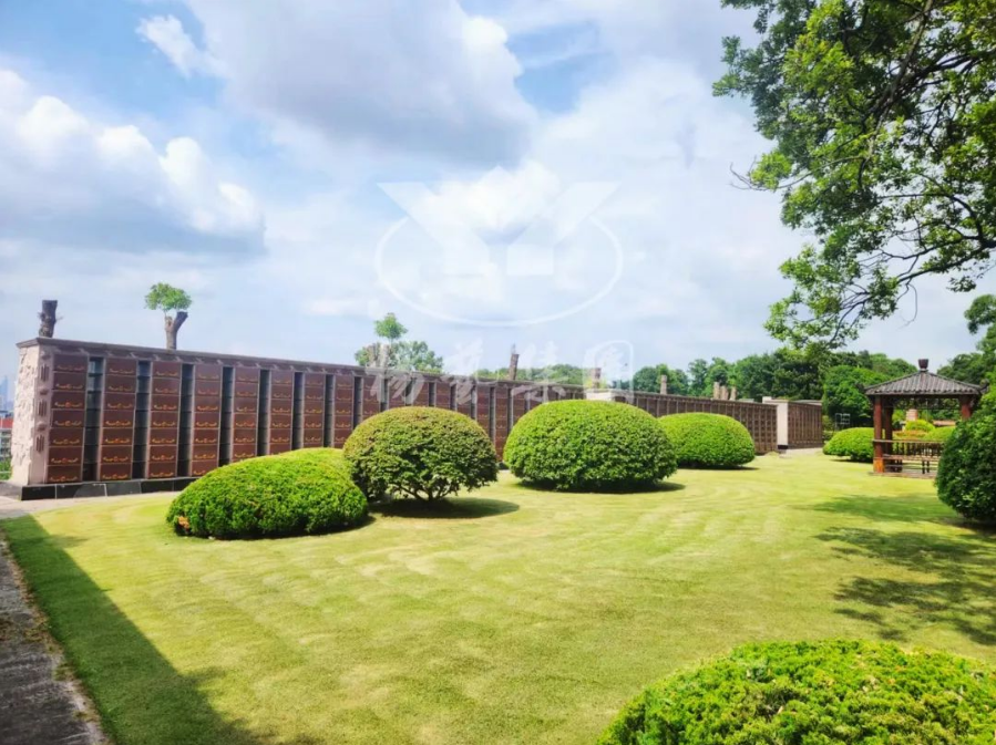 永乐高·(中国区)官方网站