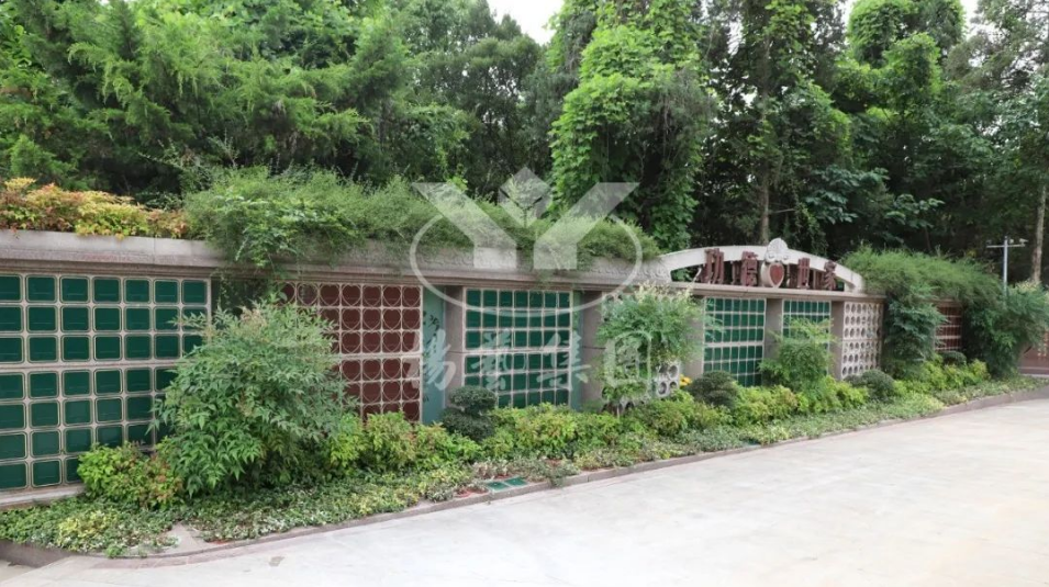 永乐高·(中国区)官方网站