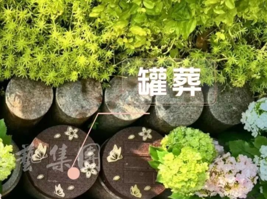 永乐高·(中国区)官方网站