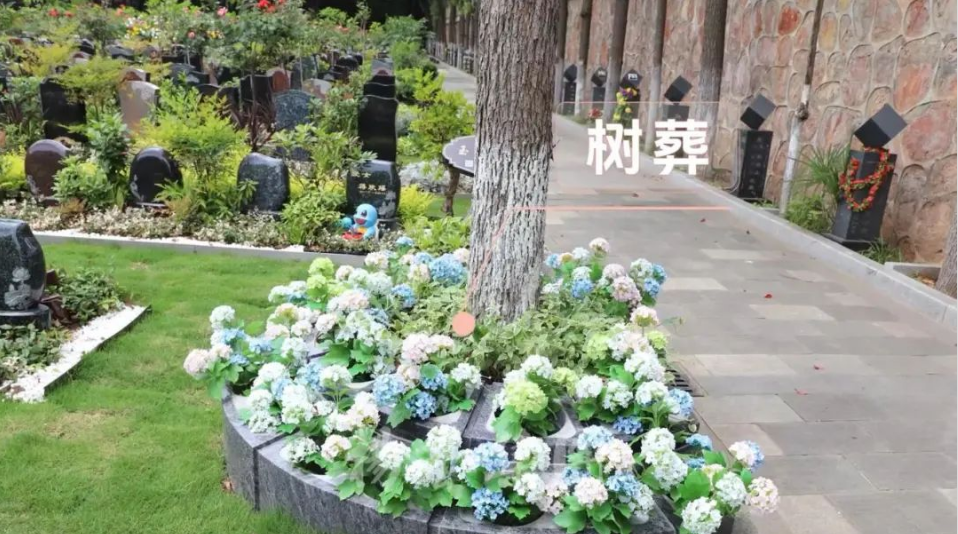 永乐高·(中国区)官方网站