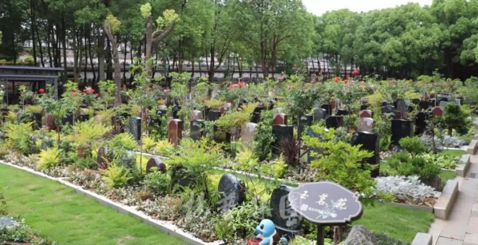 永乐高·(中国区)官方网站