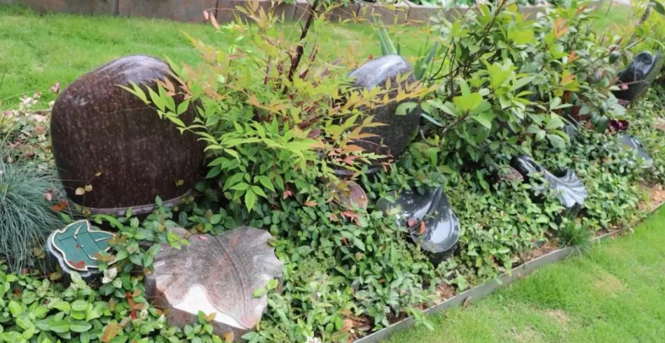 永乐高·(中国区)官方网站