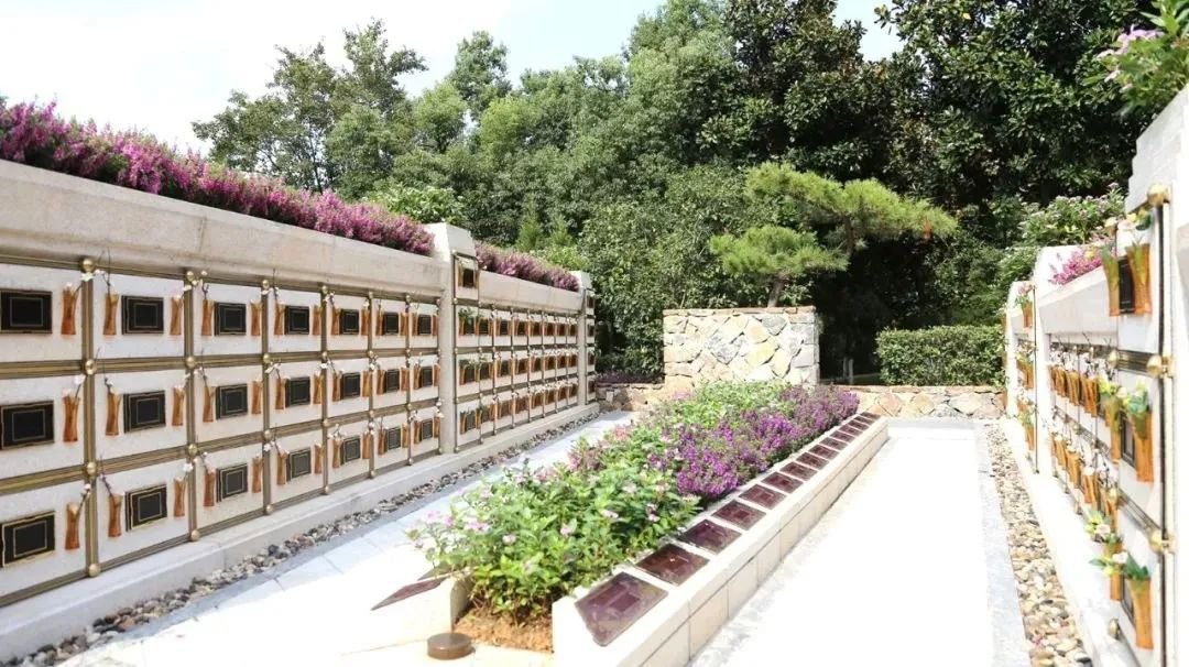 永乐高·(中国区)官方网站