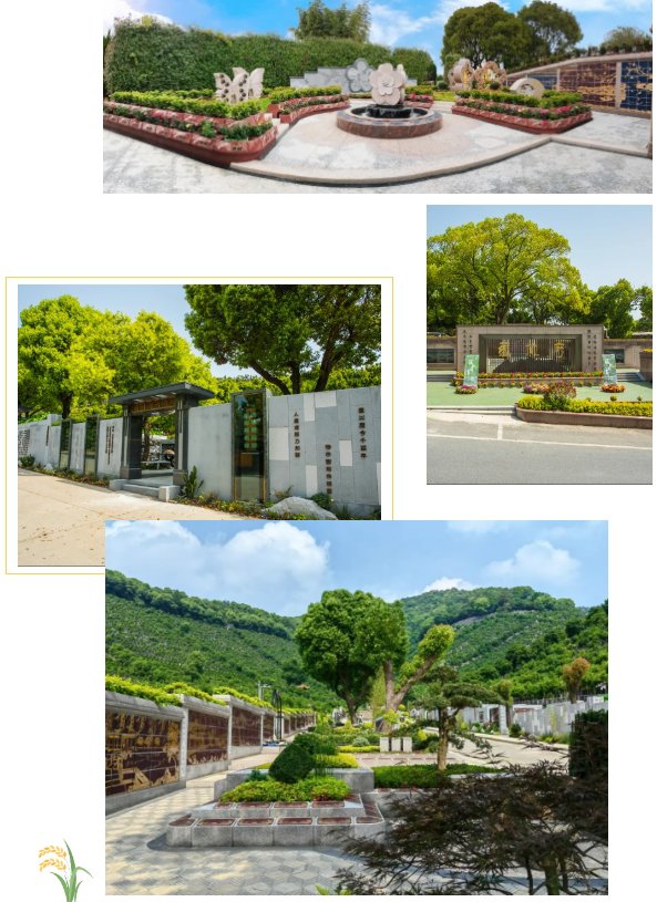 永乐高·(中国区)官方网站