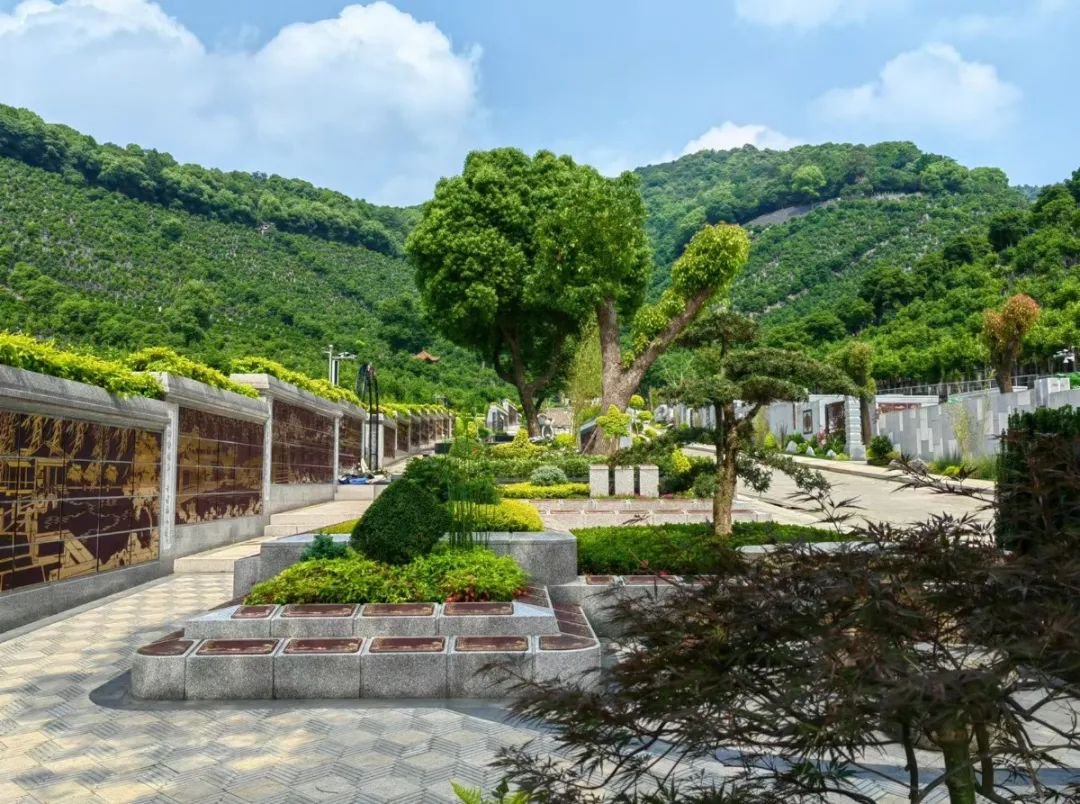 永乐高·(中国区)官方网站