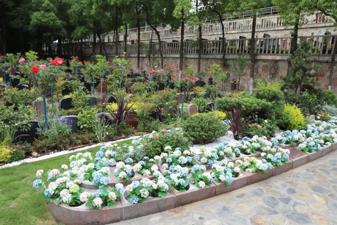 永乐高·(中国区)官方网站