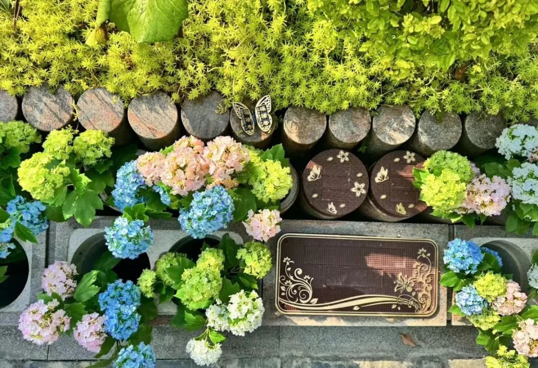 永乐高·(中国区)官方网站