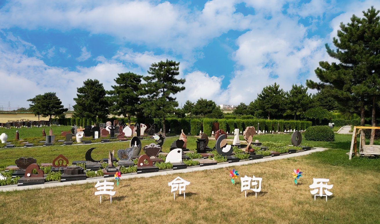 永乐高·(中国区)官方网站