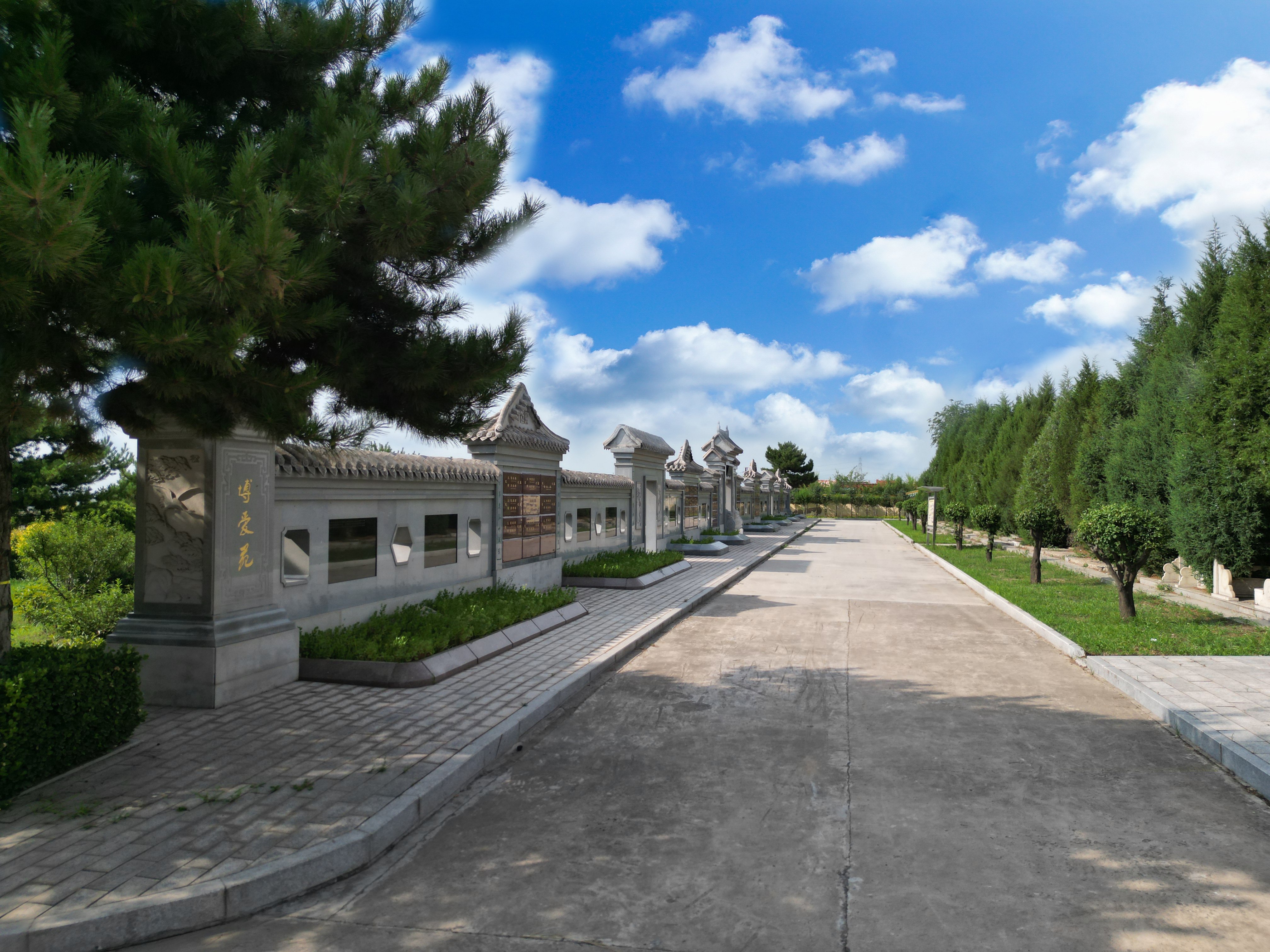 永乐高·(中国区)官方网站