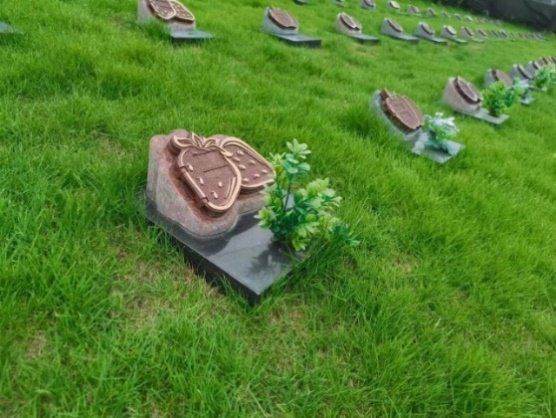 永乐高·(中国区)官方网站