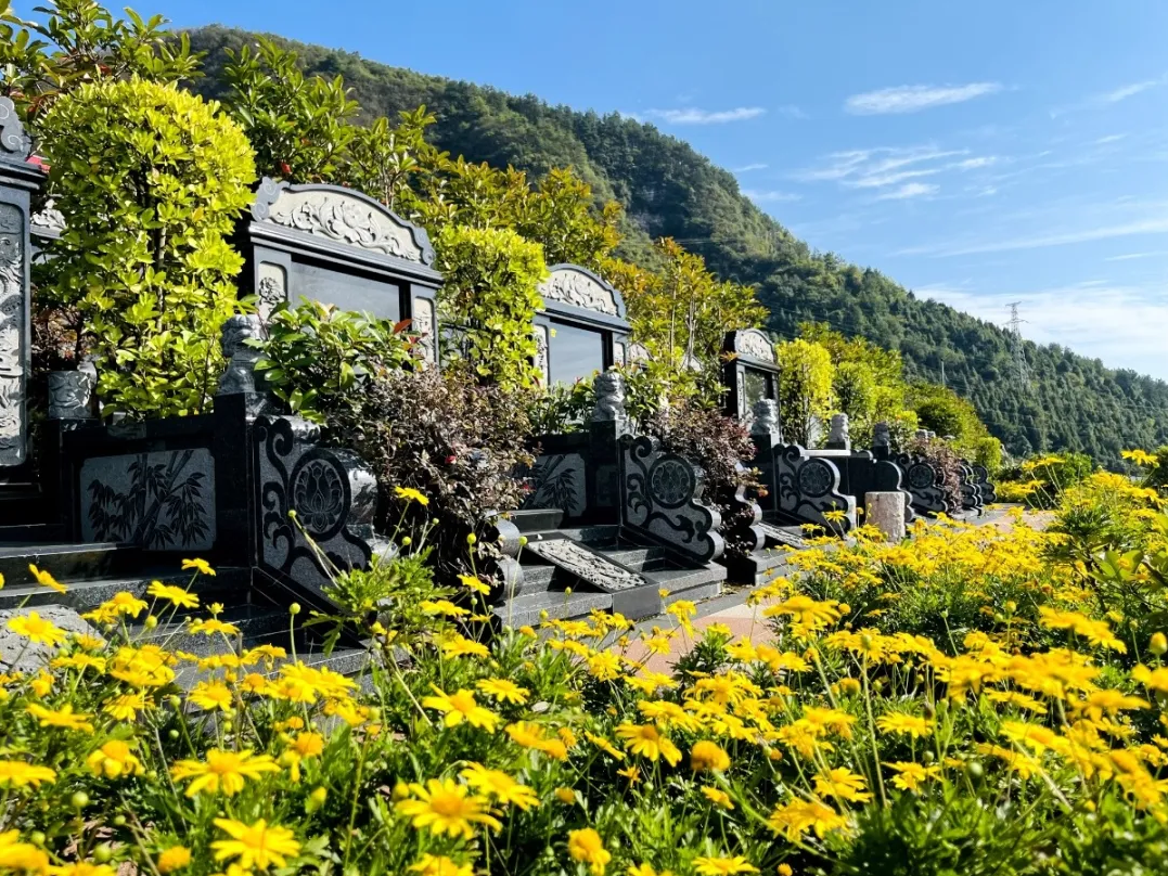 永乐高·(中国区)官方网站