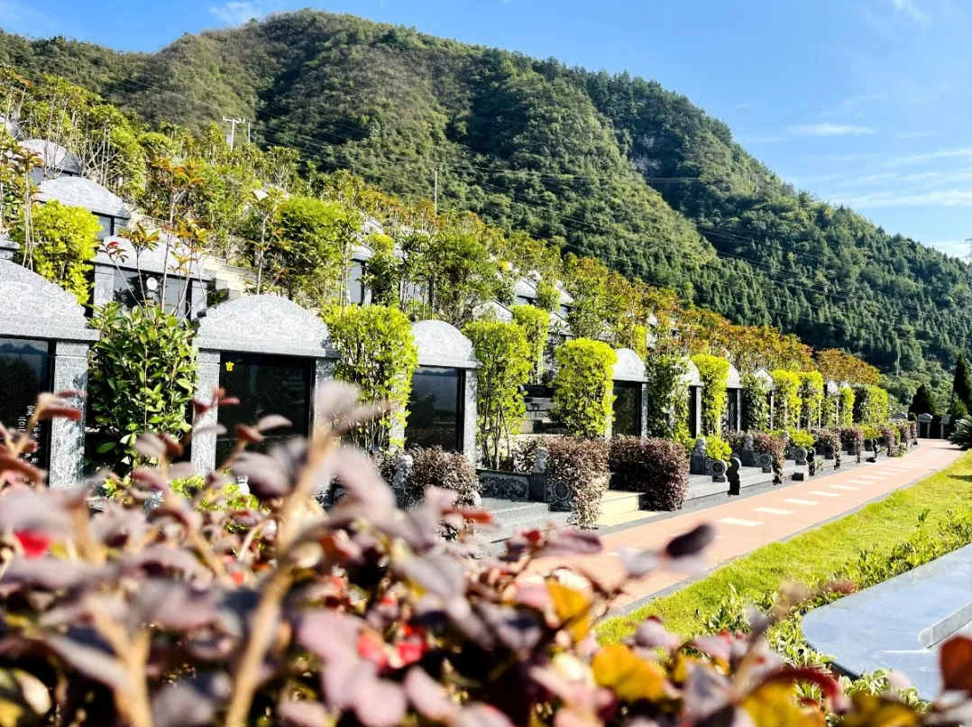 永乐高·(中国区)官方网站