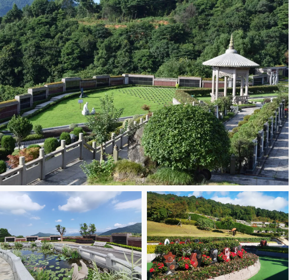 永乐高·(中国区)官方网站