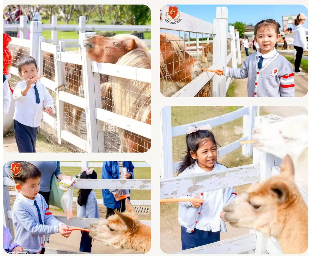 永乐高·(中国区)官方网站