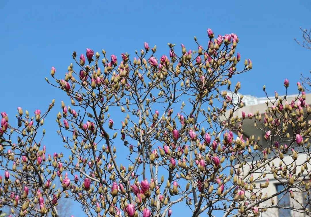 永乐高·(中国区)官方网站