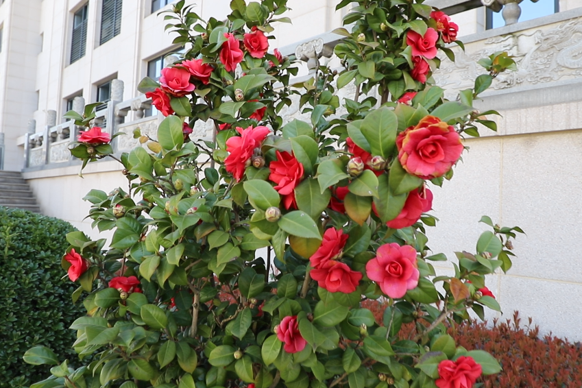 永乐高·(中国区)官方网站