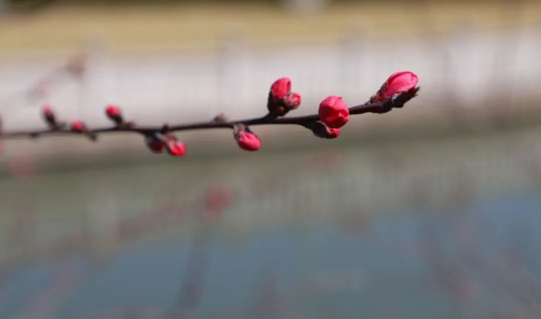 永乐高·(中国区)官方网站