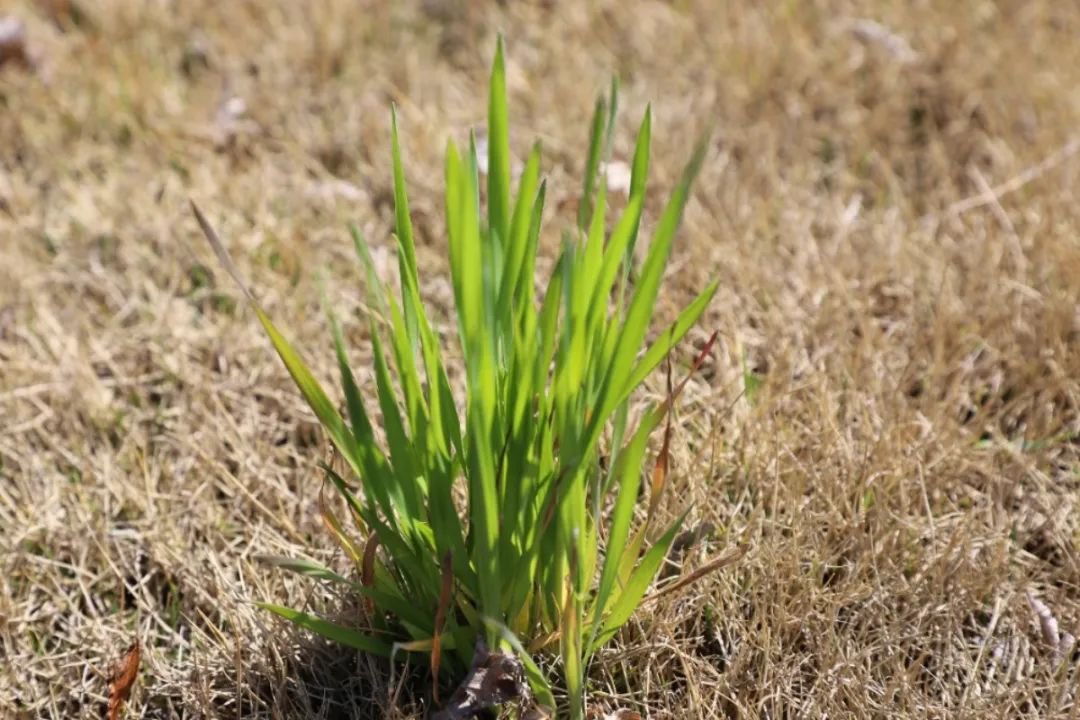 永乐高·(中国区)官方网站