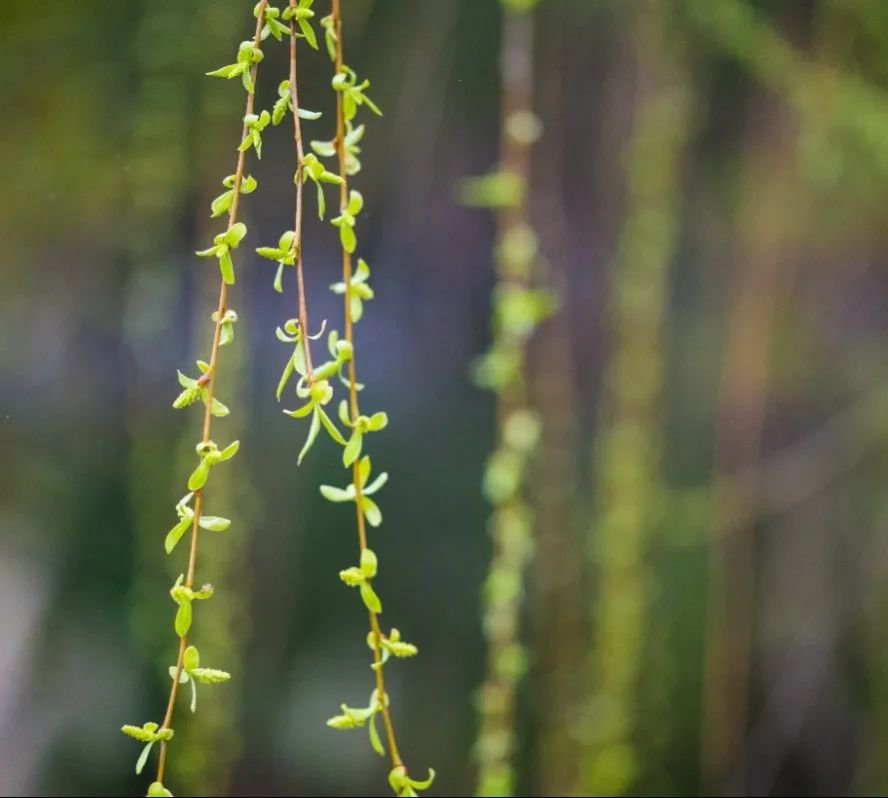 永乐高·(中国区)官方网站