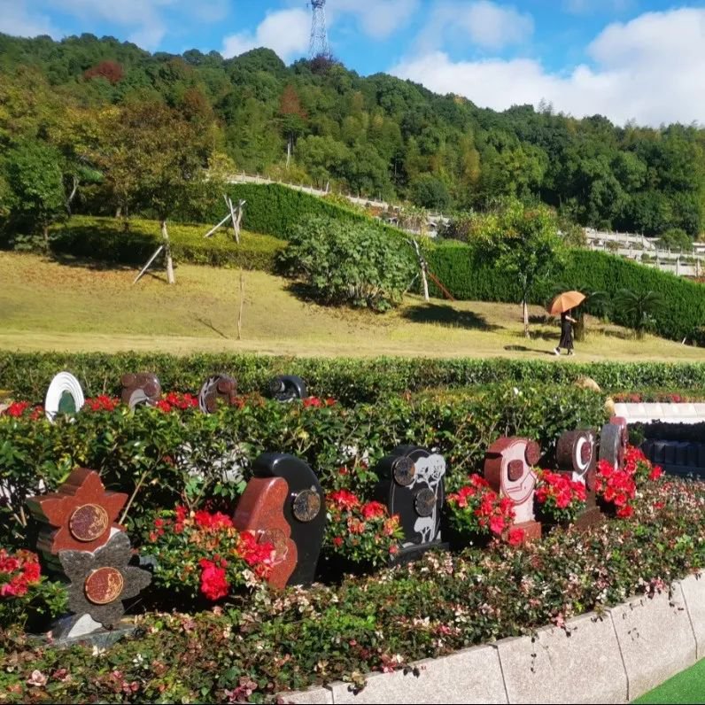 永乐高·(中国区)官方网站