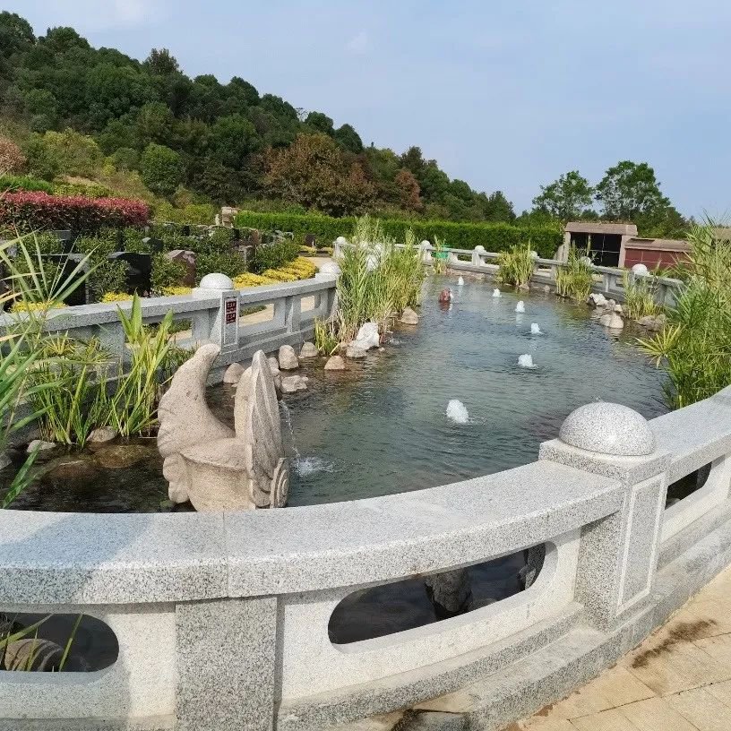 永乐高·(中国区)官方网站