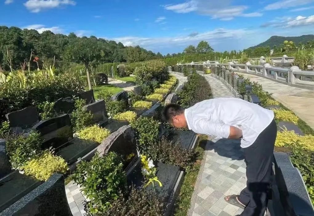 永乐高·(中国区)官方网站