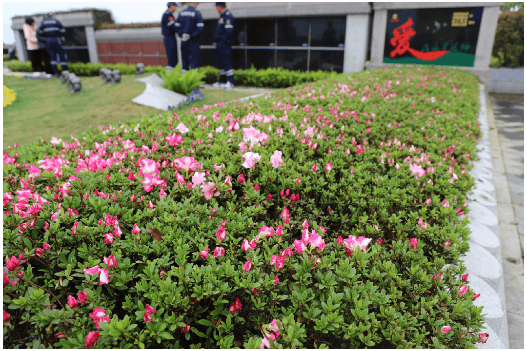 永乐高·(中国区)官方网站