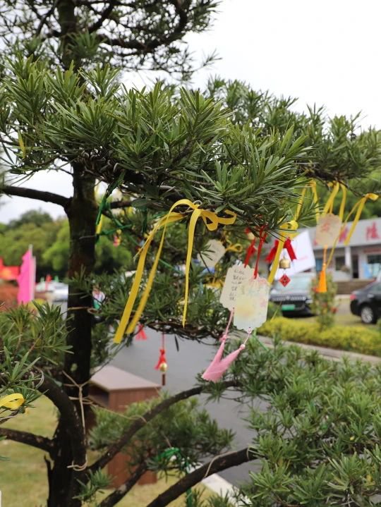 永乐高·(中国区)官方网站