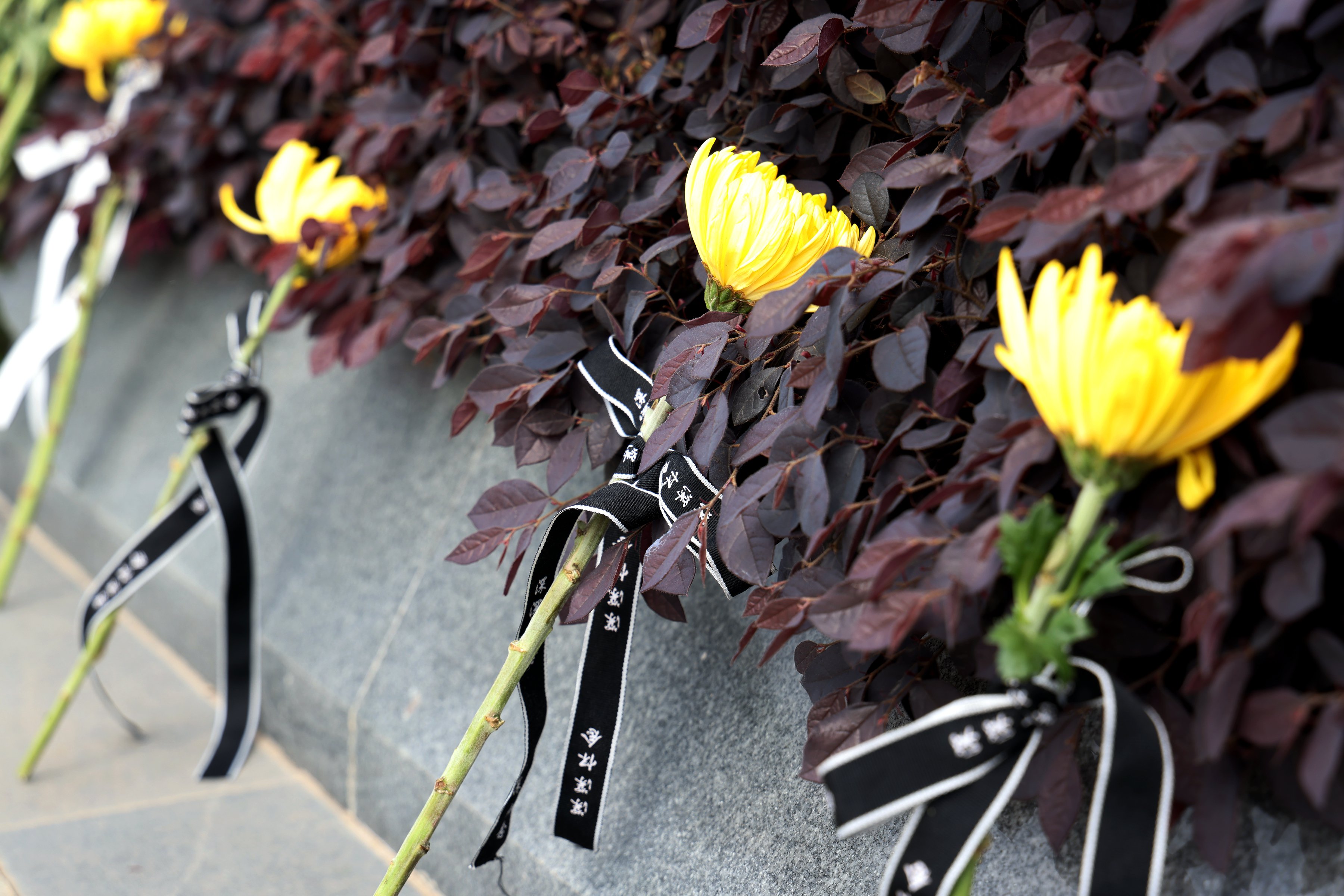 永乐高·(中国区)官方网站