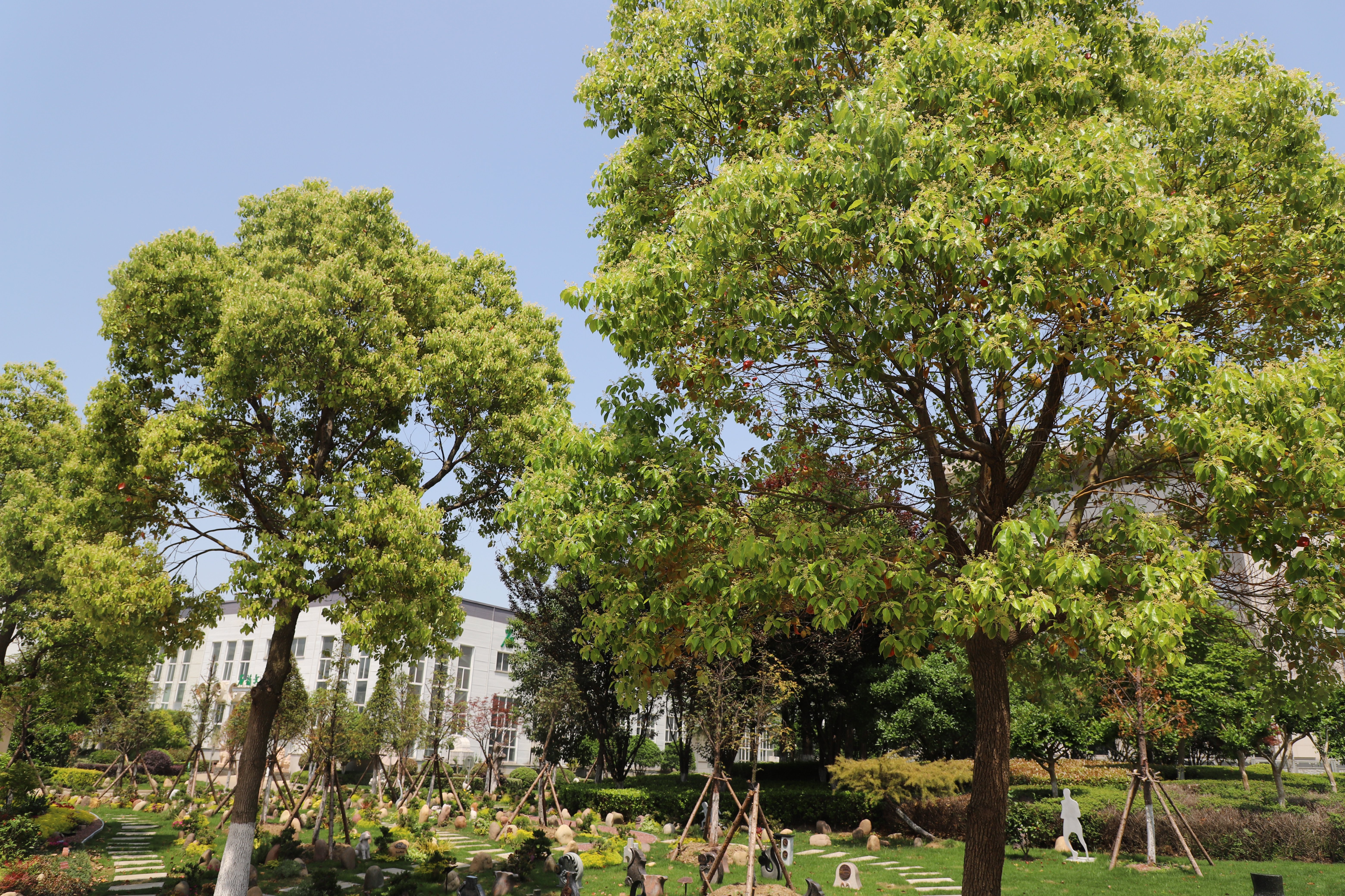 永乐高·(中国区)官方网站