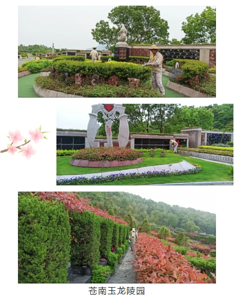 永乐高·(中国区)官方网站