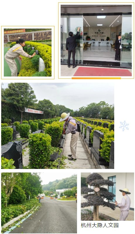 永乐高·(中国区)官方网站