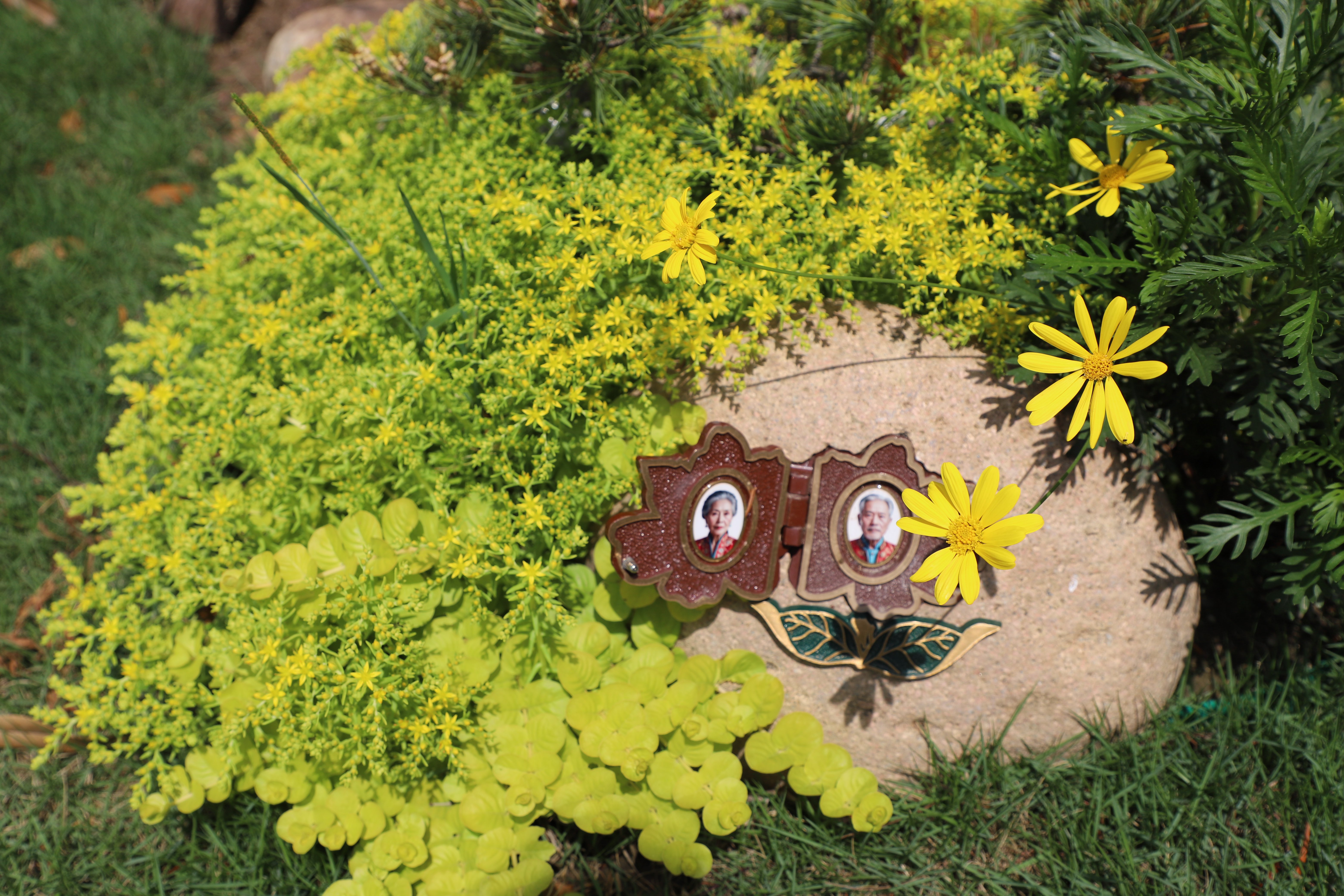 永乐高·(中国区)官方网站