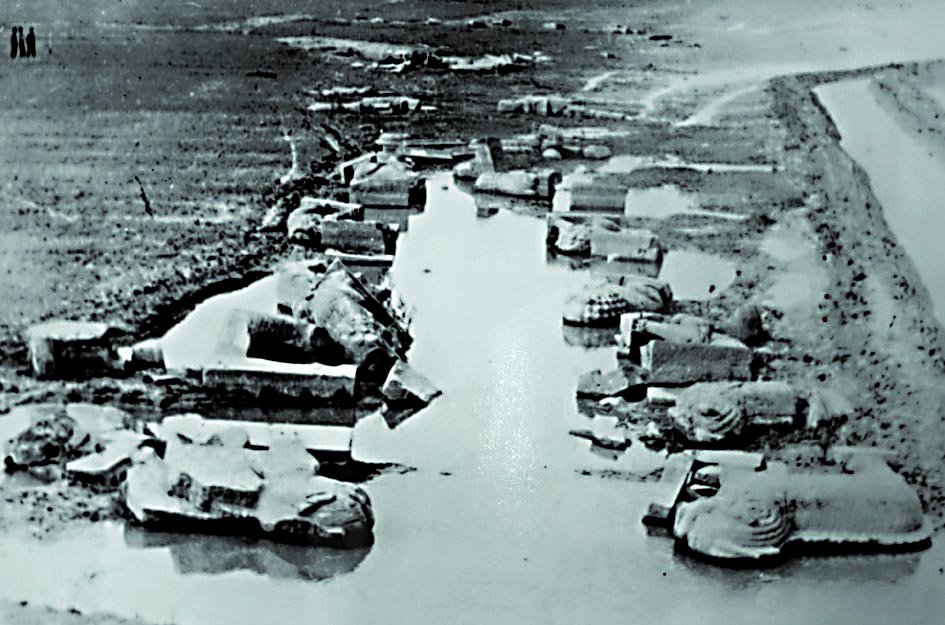 永乐高·(中国区)官方网站