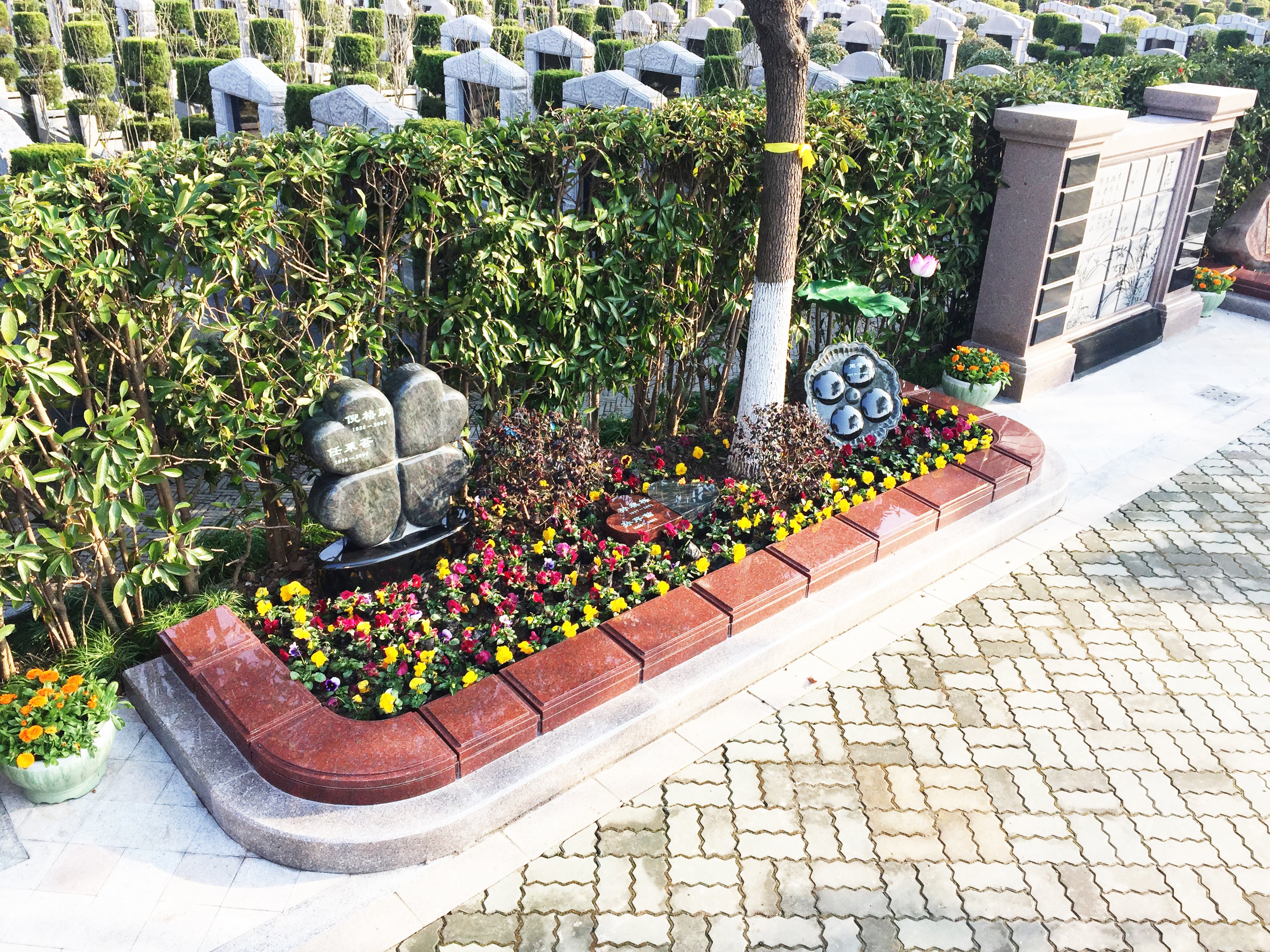 永乐高·(中国区)官方网站