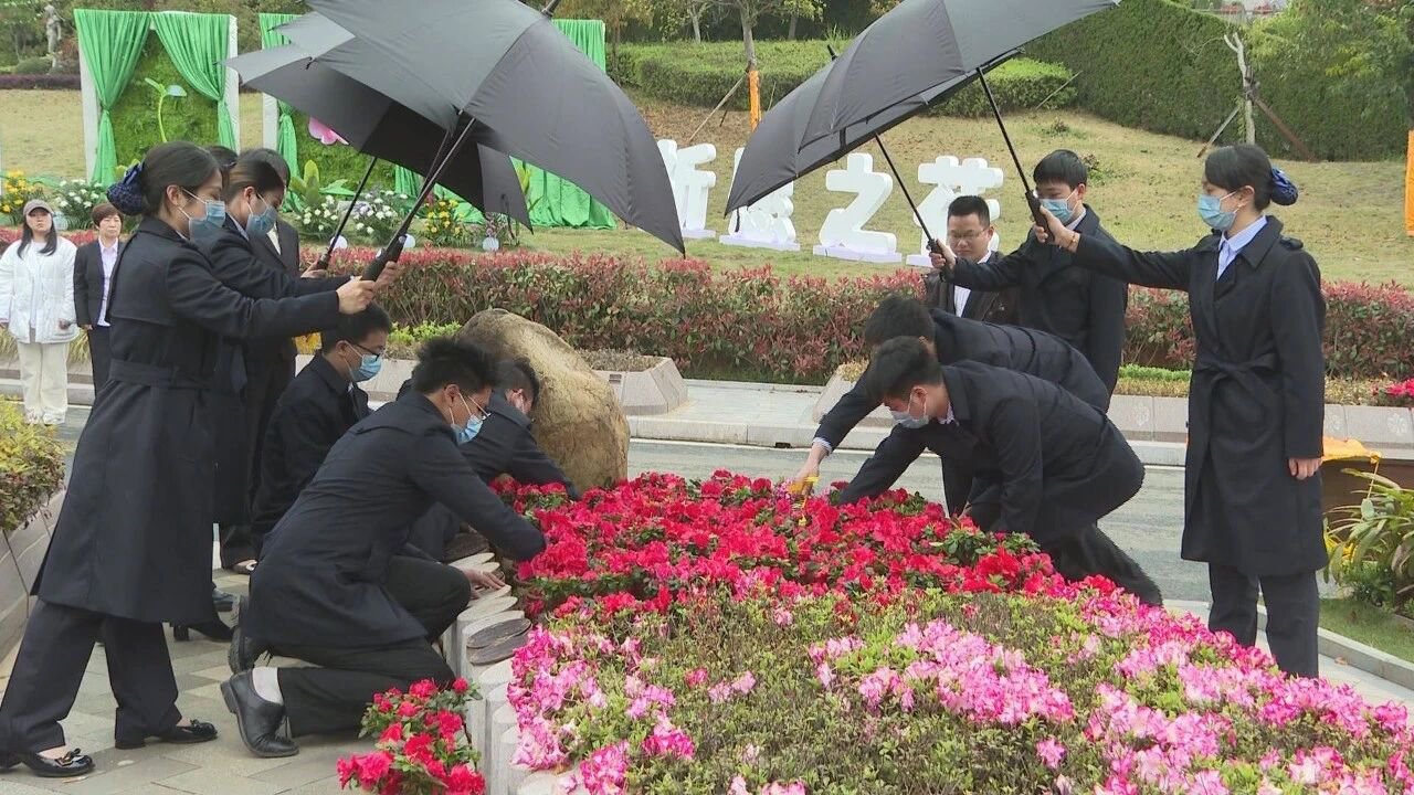 永乐高·(中国区)官方网站