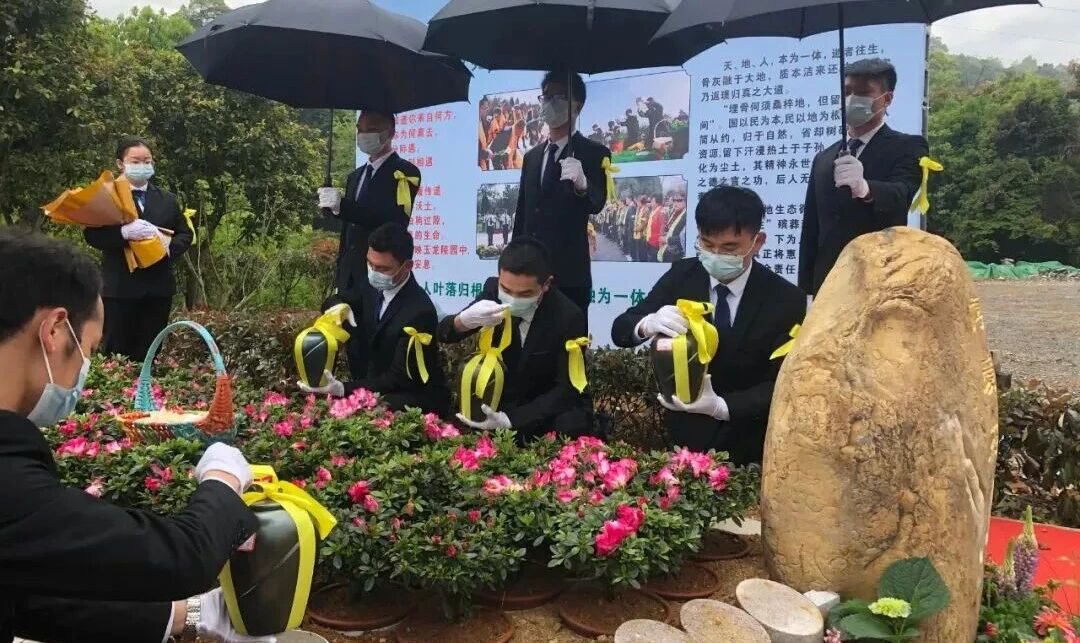 永乐高·(中国区)官方网站