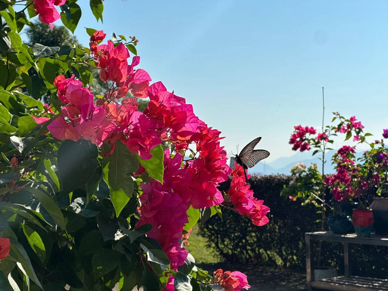 永乐高·(中国区)官方网站