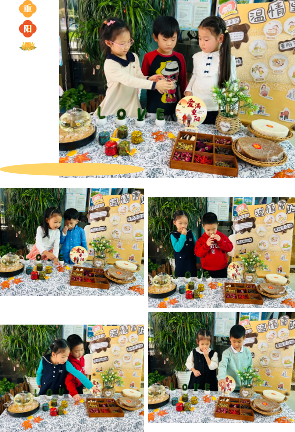 永乐高·(中国区)官方网站