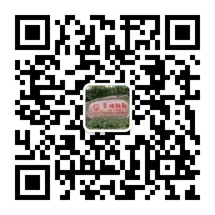 永乐高·(中国区)官方网站