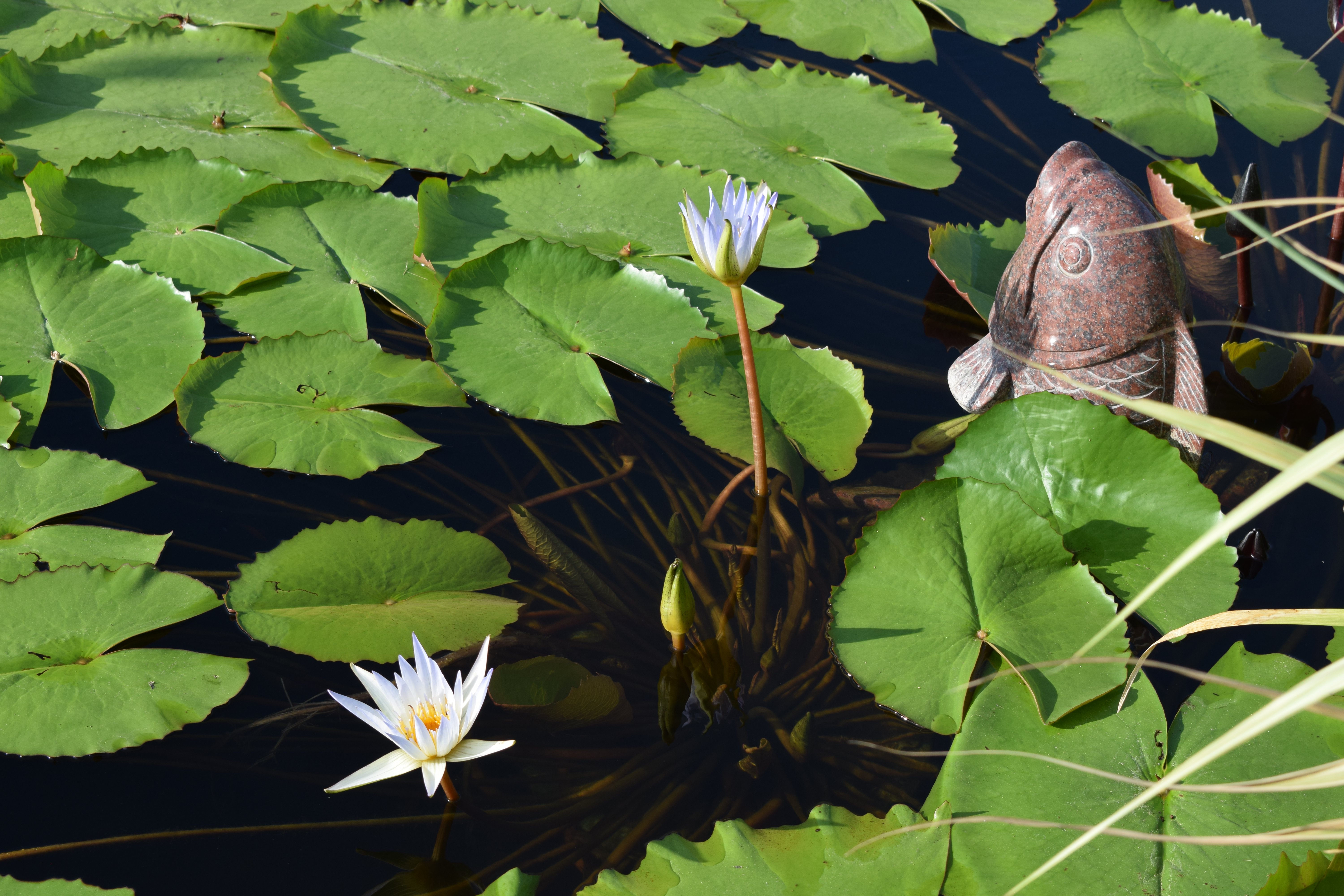永乐高·(中国区)官方网站