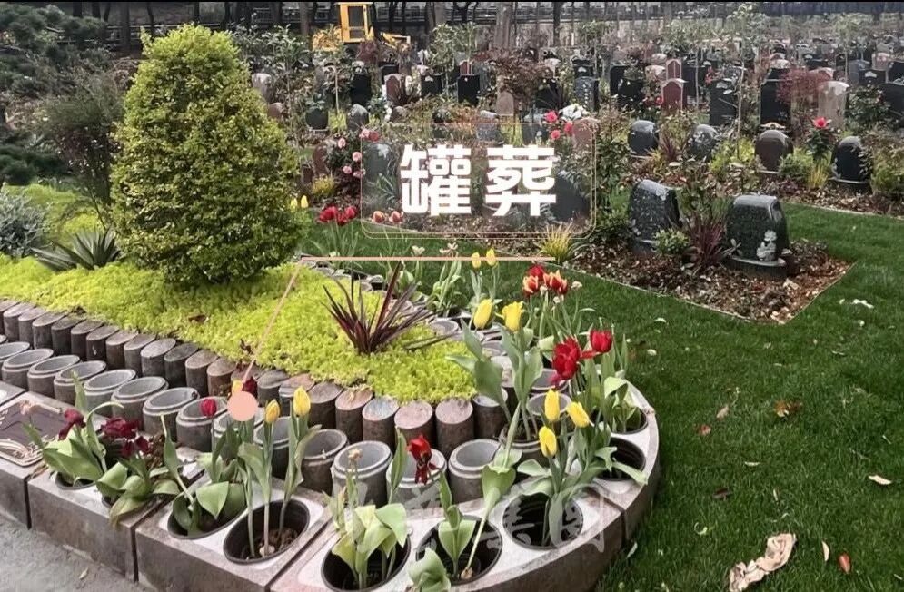 永乐高·(中国区)官方网站