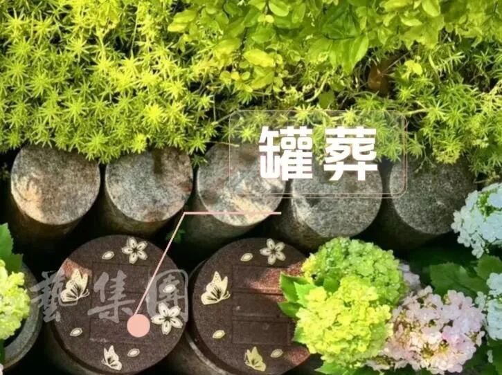 永乐高·(中国区)官方网站